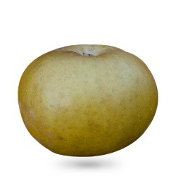 Pomme Patte de Loup - BIO TRUCK - Pomme Patte de Loup